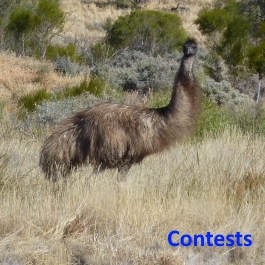 Contests